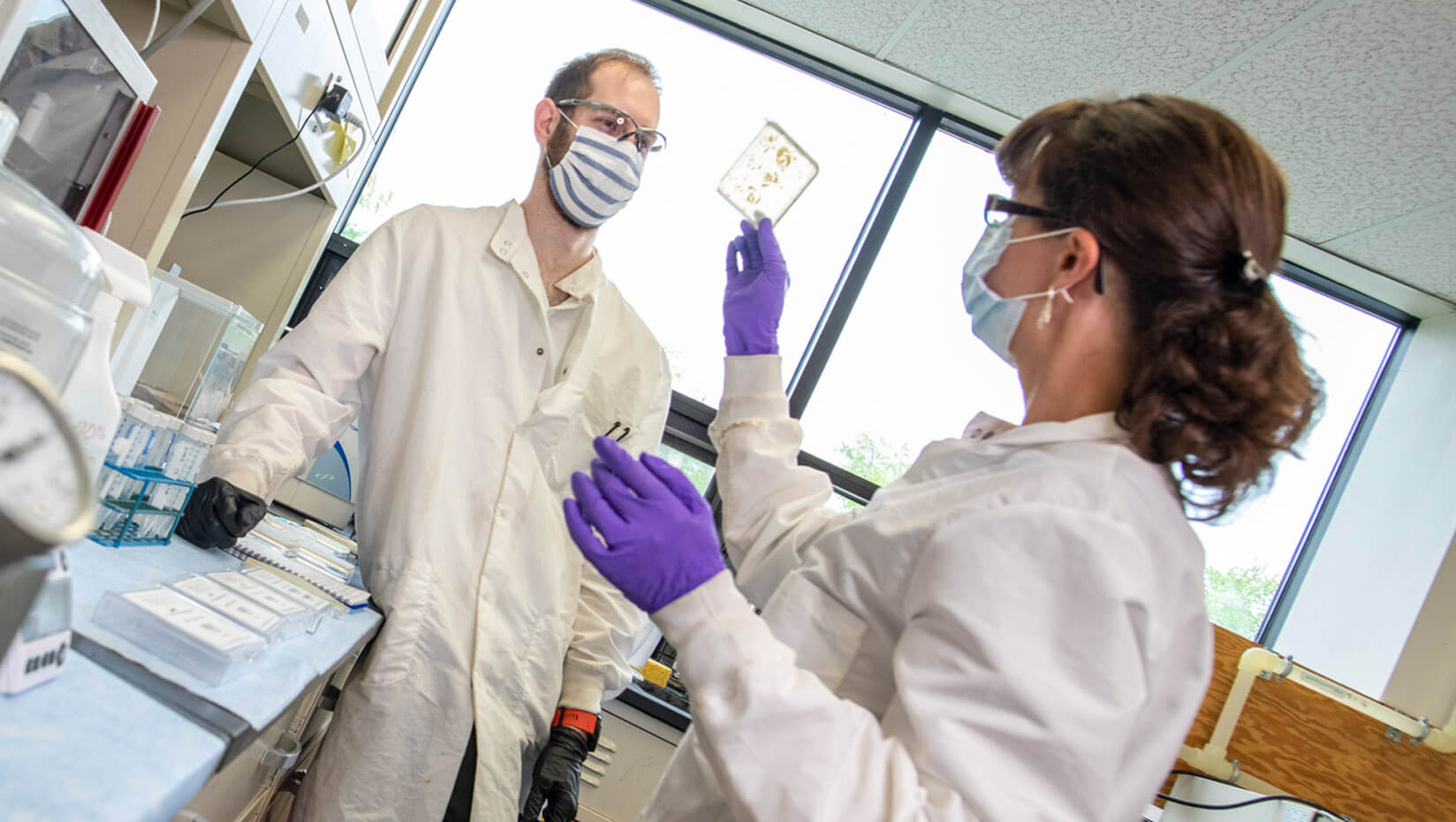 Engineering faculty member showing a sample to a grad student.