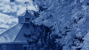 A duotone photo of the UMaine campus showing a blossoming tree in the foreground.